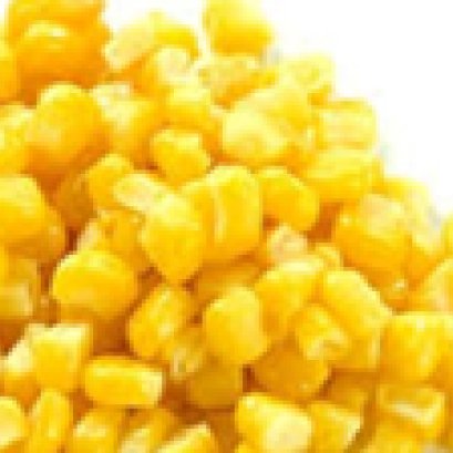 Nam sed elit sagittis